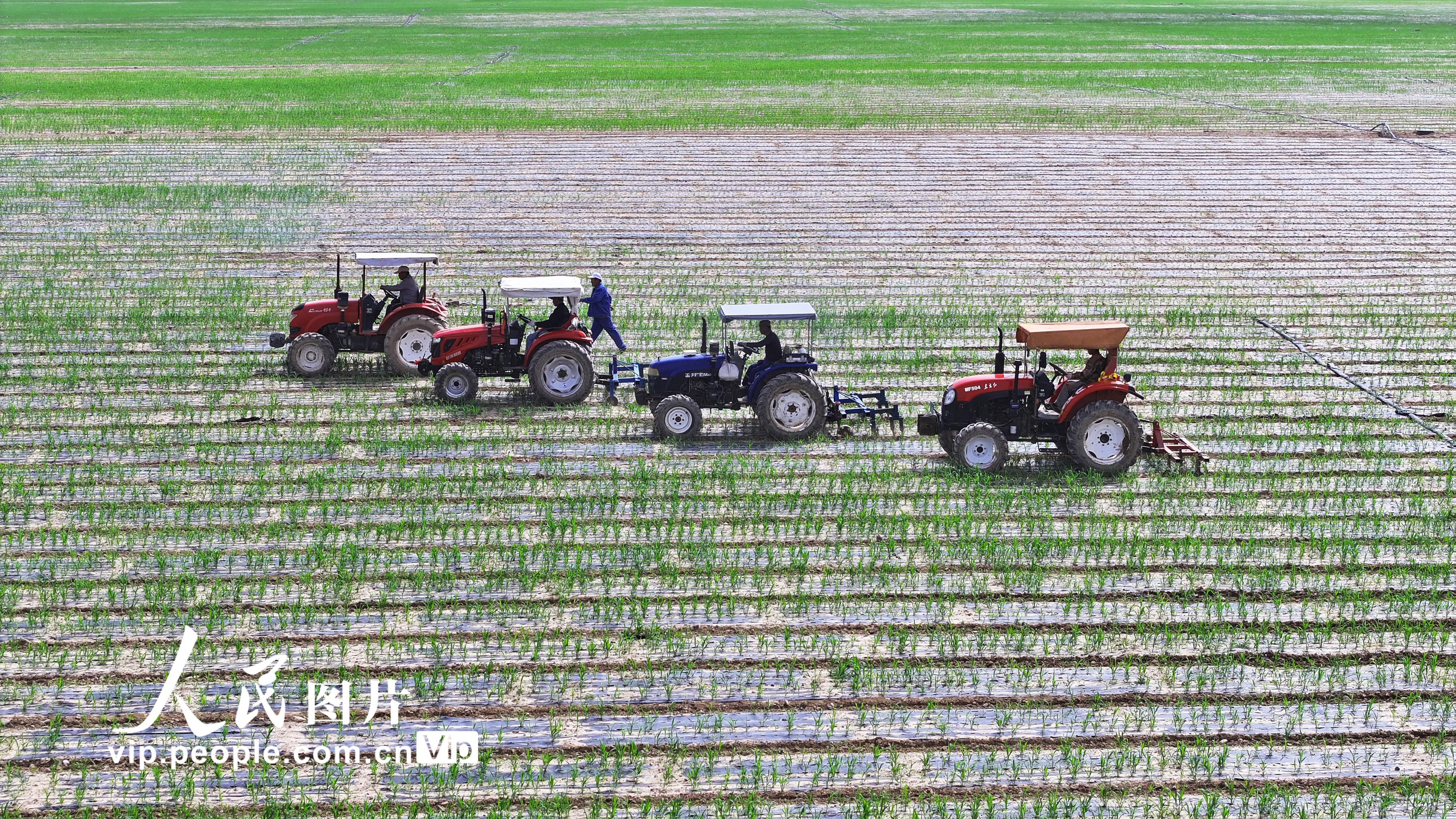 �������֣��и���ҵæ��4��