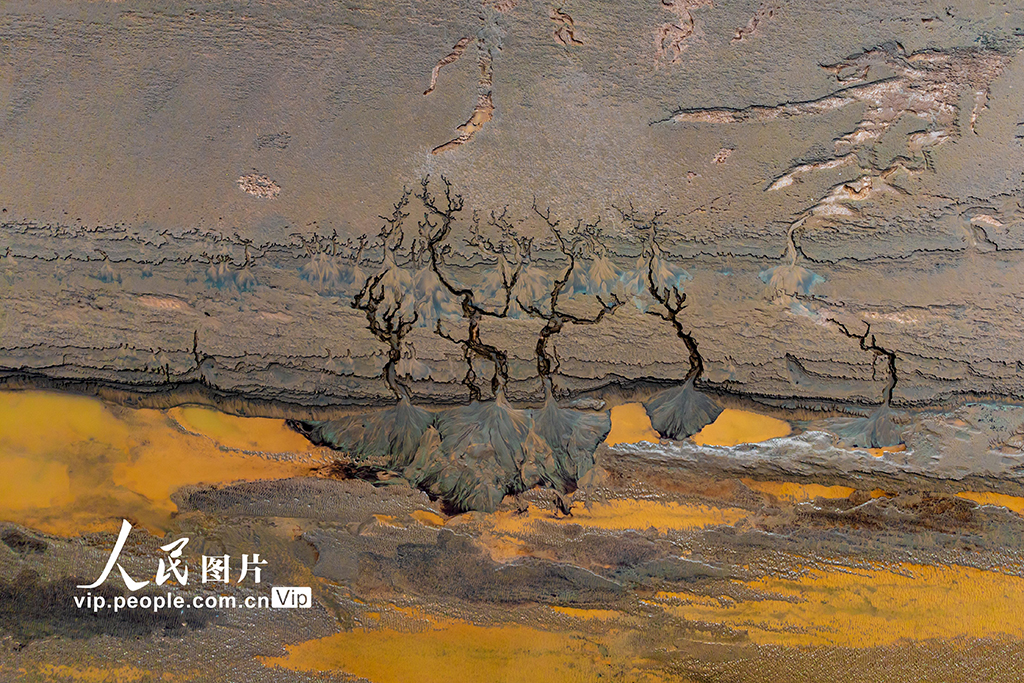 浙江杭州：钱塘江潮起潮落间绘就自然秘境