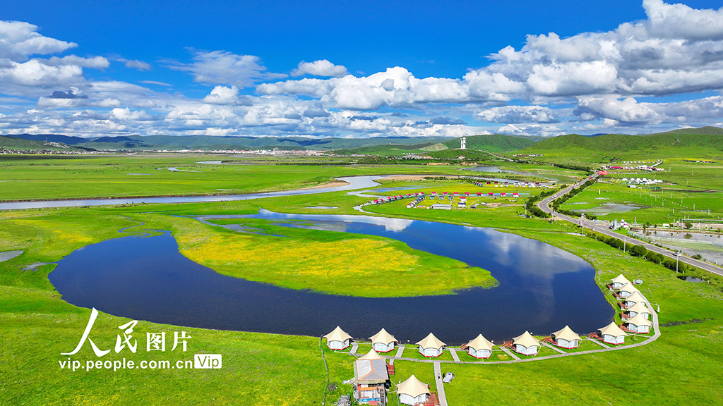四川阿壩：夏日草原風景如畫【7】