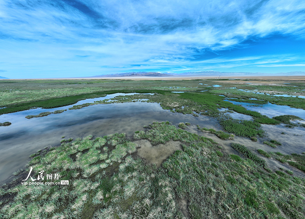 ���ఢ�������ոɺ�ʪ����̬����5��