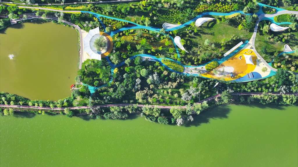 這是6月23日拍攝的寧夏銀川市典農河一景（無人機照片）。