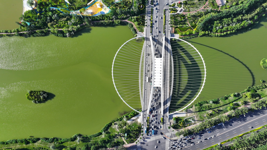 這是6月23日拍攝的位於寧夏銀川市典農河上的鳳凰橋（無人機照片）。