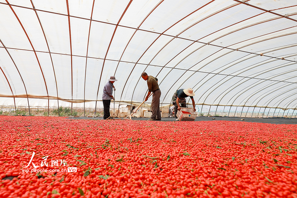 ������������̲����轷��ա�5��