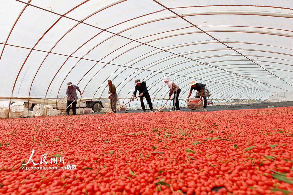 ������������̲����轷��ա�3��