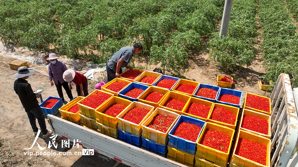 ������������̲����轷��ա�6��