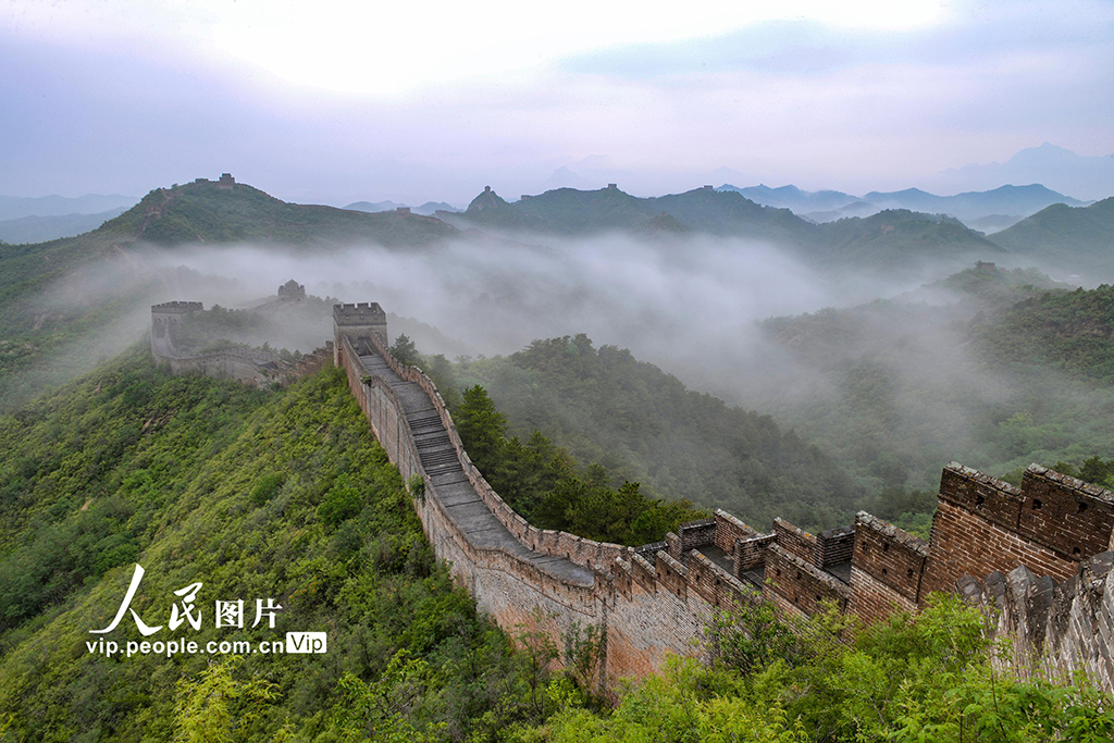 河北承德：金山嶺長城雨后現雲海景象【3】