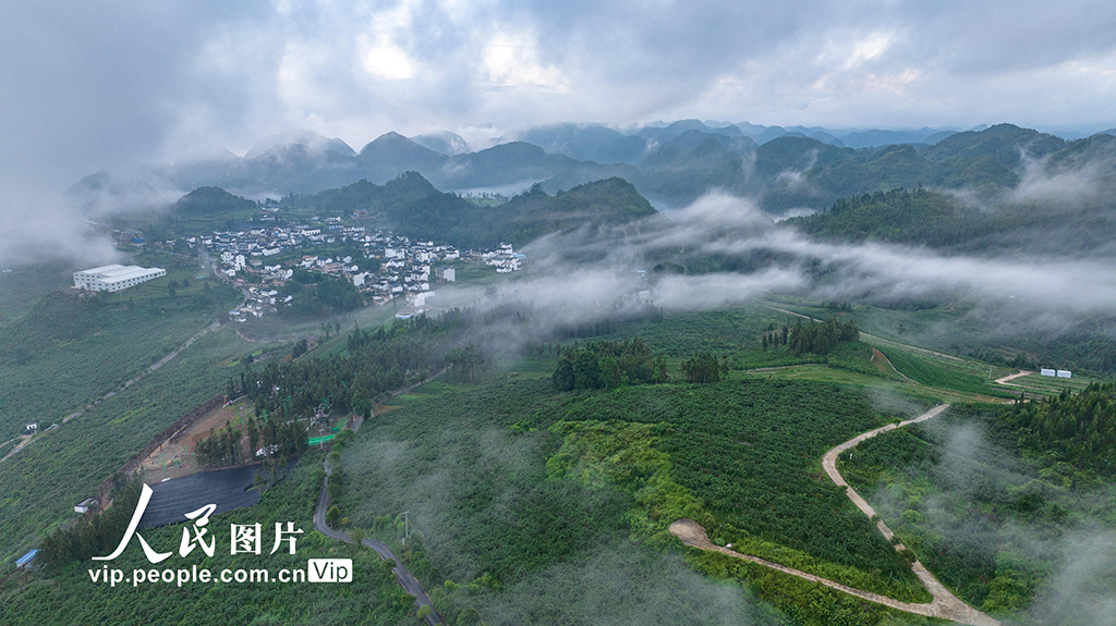 雲南西疇：國家石漠公園景色美【8】