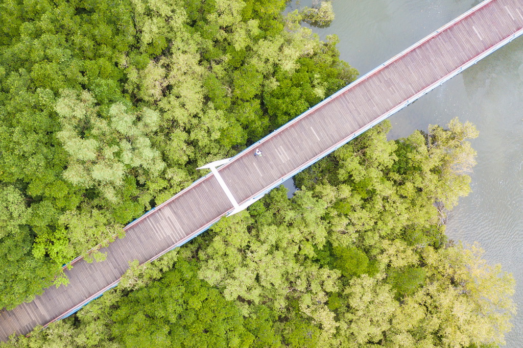 7��22�գ��ο����ں���ʡ�����а��ع�԰�ڣ����˻���Ƭ����