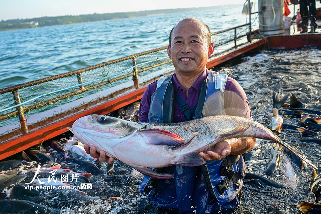 河南嵩縣：魚躍人歡