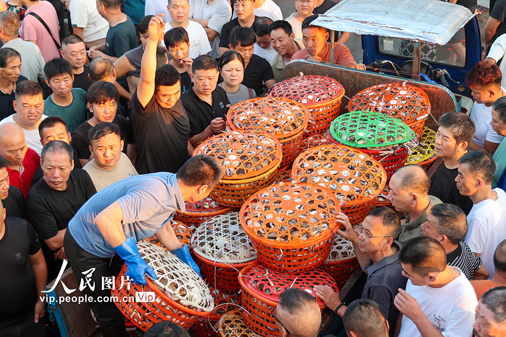 浙江舟山：漁船歸來 梭子蟹上市