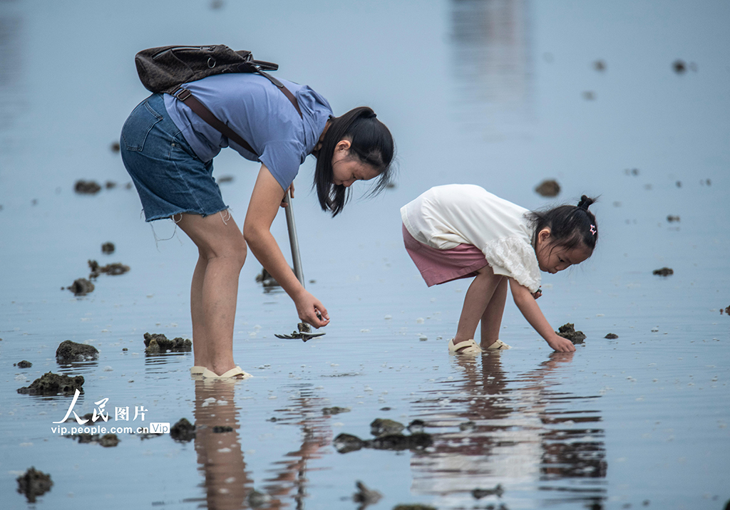 海南琼海：开渔时节赶海乐