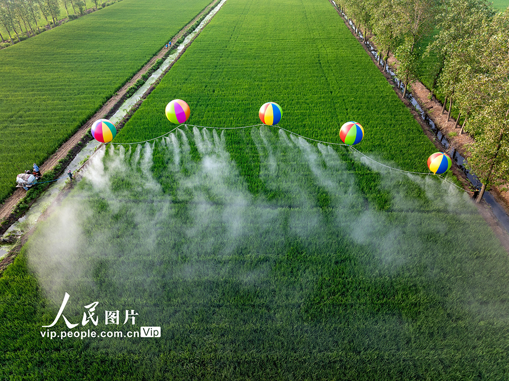 江蘇宿遷：氫氣球噴灌助力智慧田管