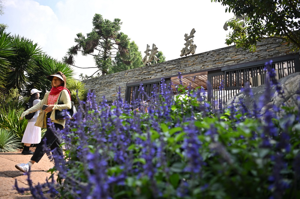 走进昆明植物园“扶荔宫”