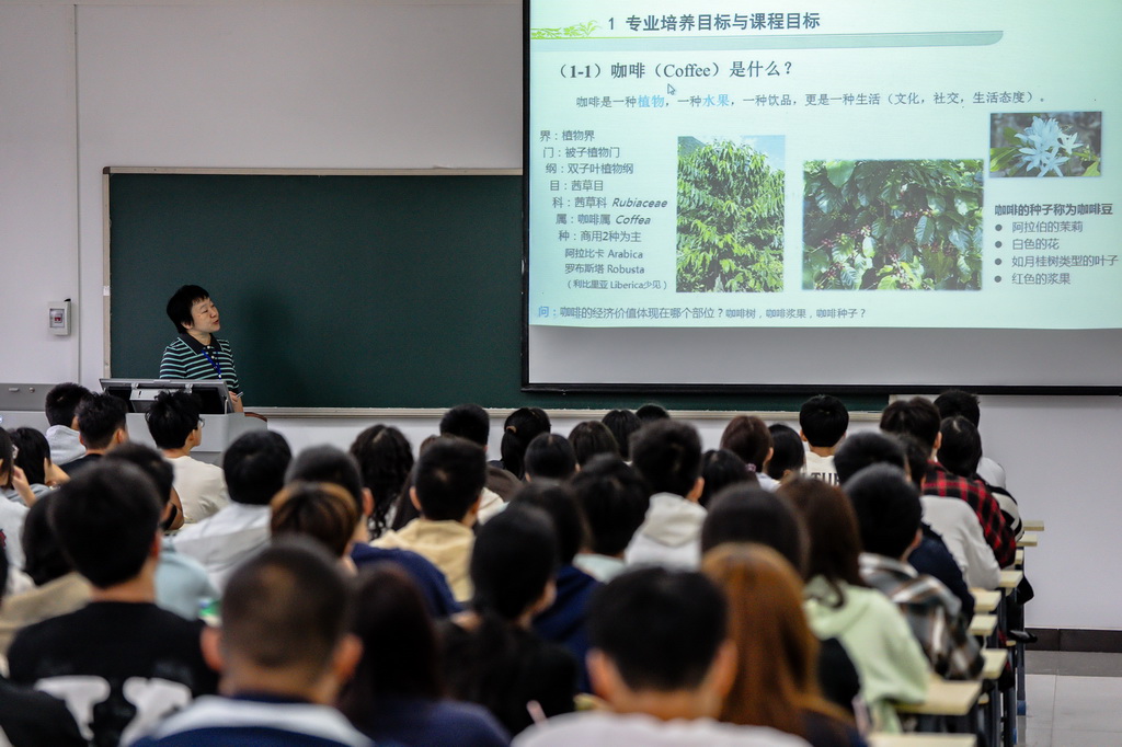 9月10日，雲南農業大學熱帶作物學院教師黃艷麗在給咖啡專業的學生上課。