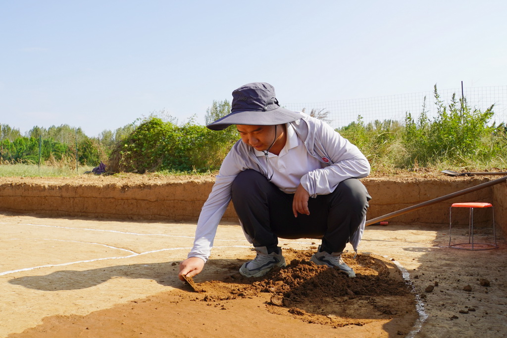 9月11日，考古人員在八裡橋遺址進行發掘工作。新華社記者 袁月明 攝