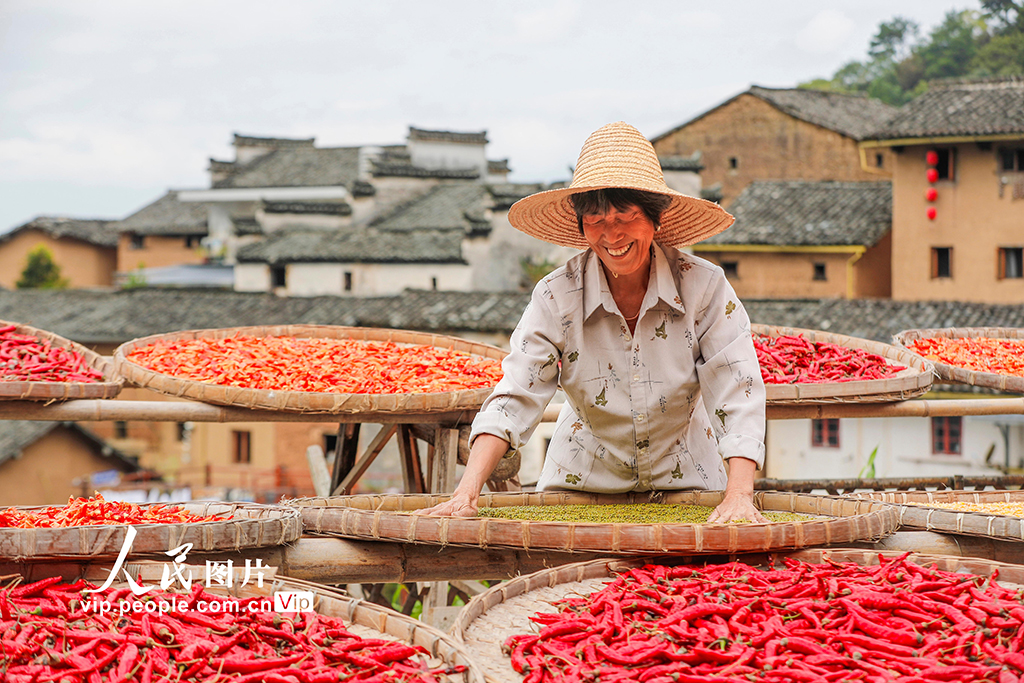 安徽歙县：土楼晒秋【5】