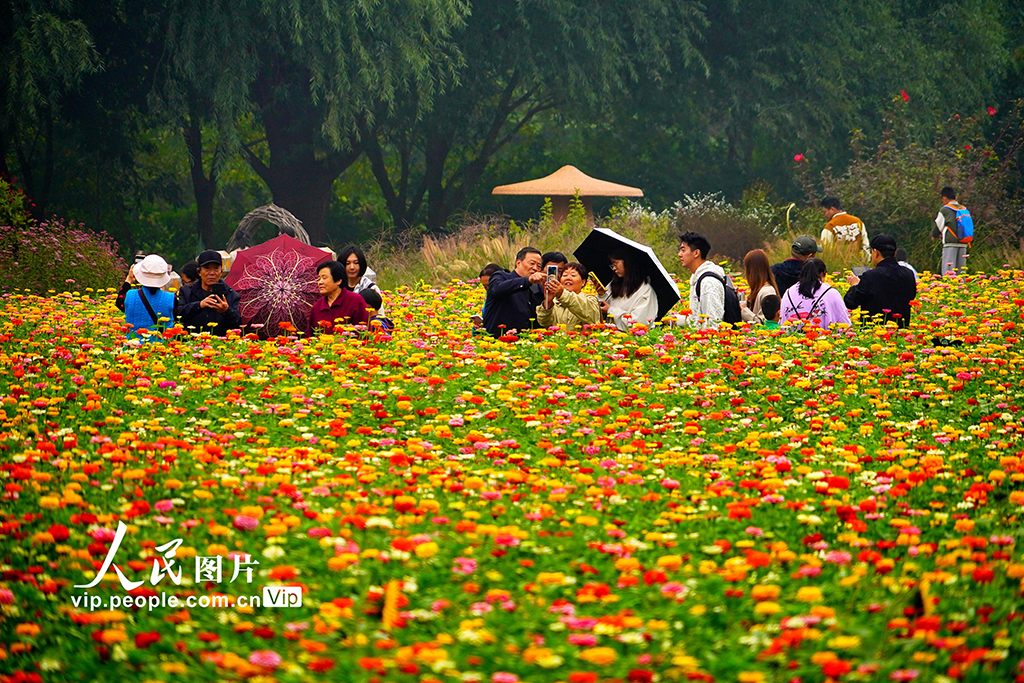 北京：奧林匹克森林公園秋景迎客來