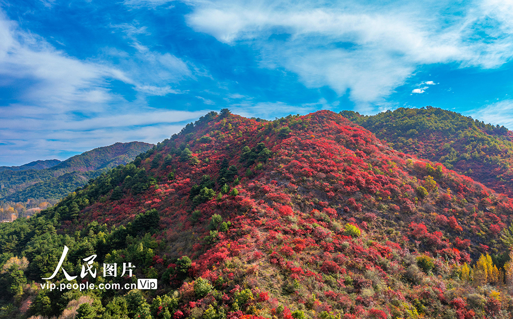 山西夏縣：水庫景區秋意漸濃