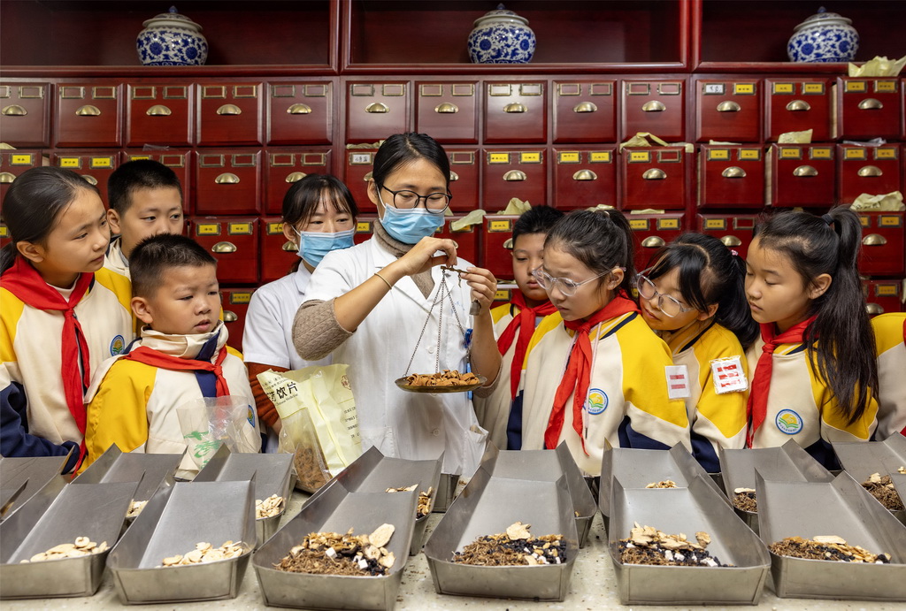  10月22日，在江苏省泰州市九龙镇中心卫生院国医馆，九龙实验学校学生在医务人员指导下学习中药知识。新华社发（汤德宏摄）