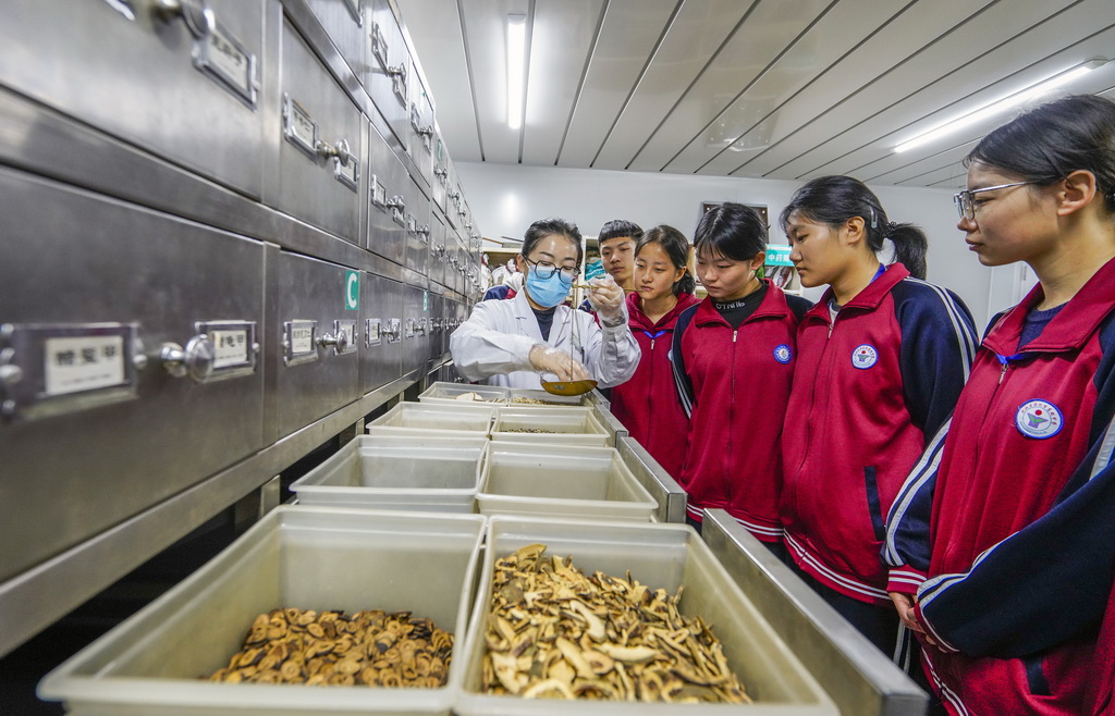 10月22日，中医师在药房向河北省遵化市高级中学学生介绍中草药称重方法。新华社发（刘满仓摄）