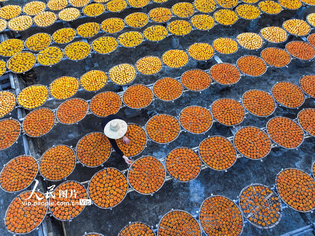 10月25日，广西桂林市恭城瑶族自治县莲花镇红岩村，柿农在晾晒柿子。