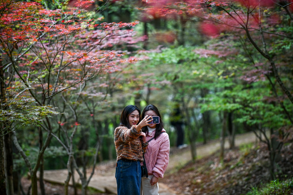 10月28日，游客在雲南省昆明市黑龍潭公園自拍。新華社記者 王靜頤 攝