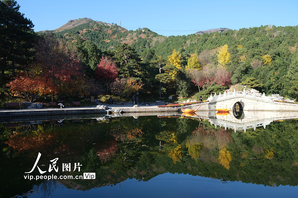 北京：香山秋景如畫醉游人【4】