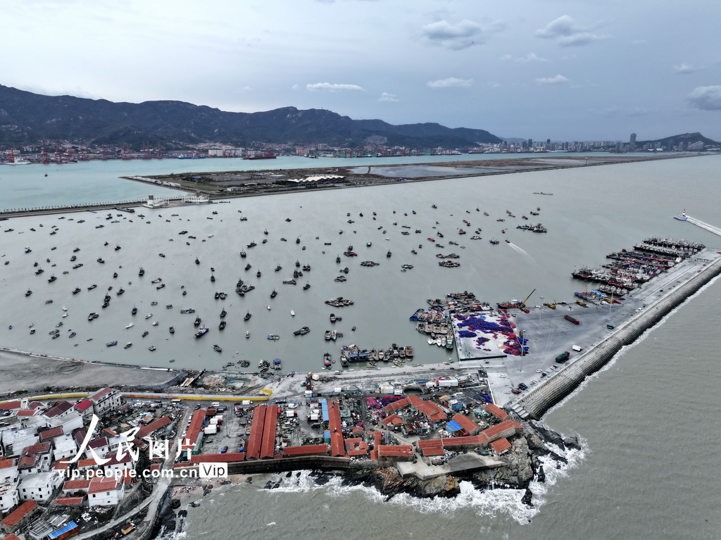 江蘇連雲港：漁船回港避風浪【8】