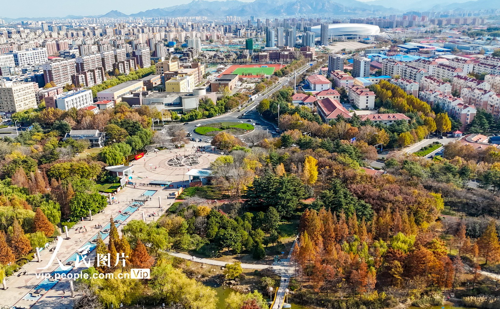 山東青島：生態持續向好 城市宜居宜游【2】