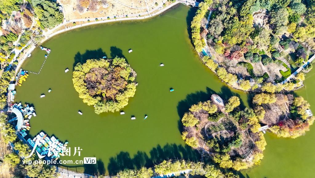 山東青島：生態持續向好 城市宜居宜游【5】