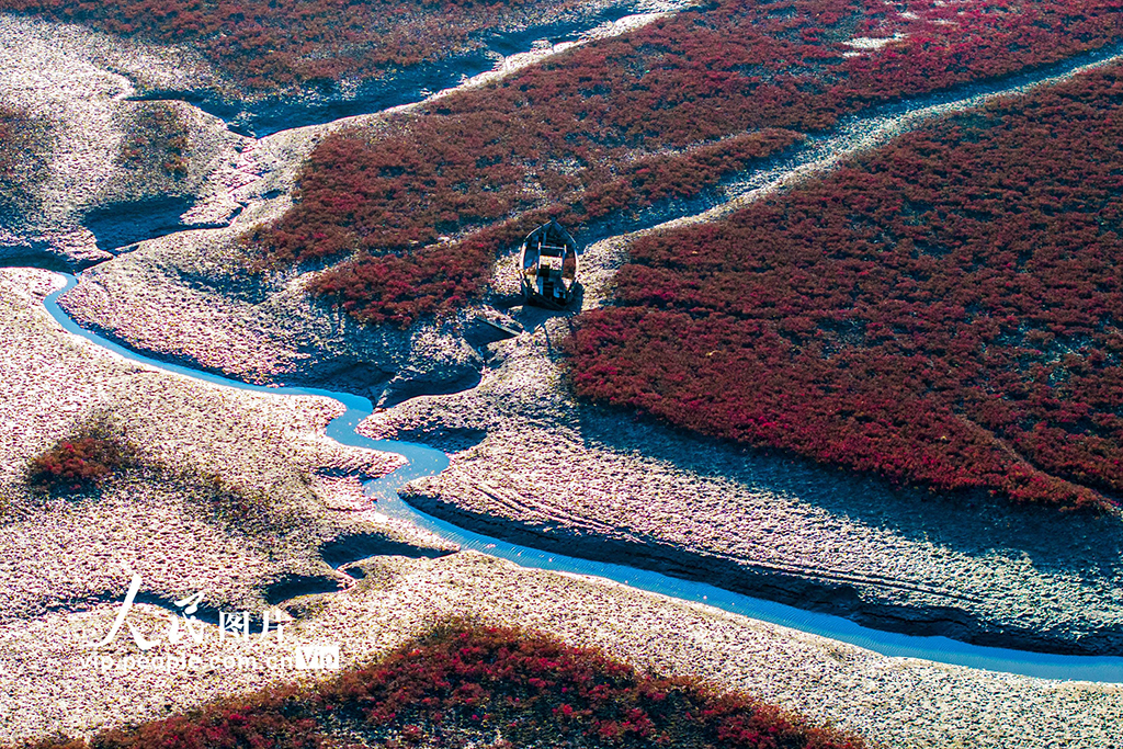 山東青島：紅海灘冬日景色美【3】