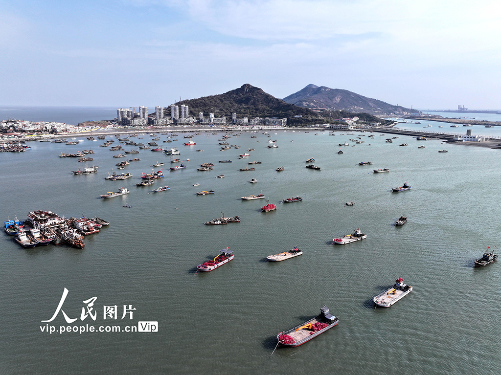江苏连云港：渔船回港躲避寒潮大风【4】