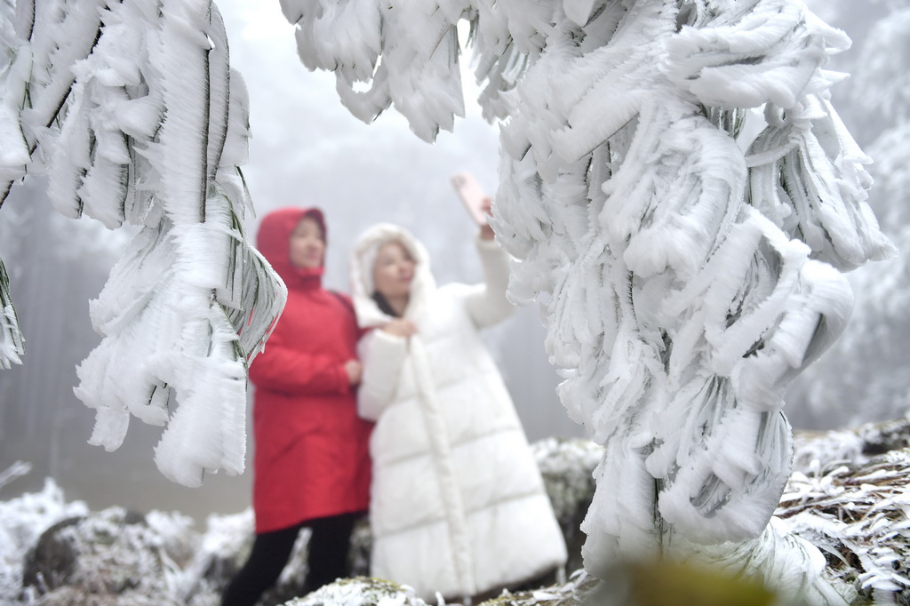 12月15日，游人在雲南省文山壯族苗族自治州丘北縣舍得鄉欣賞霧凇美景。新華社發（熊平祥攝）