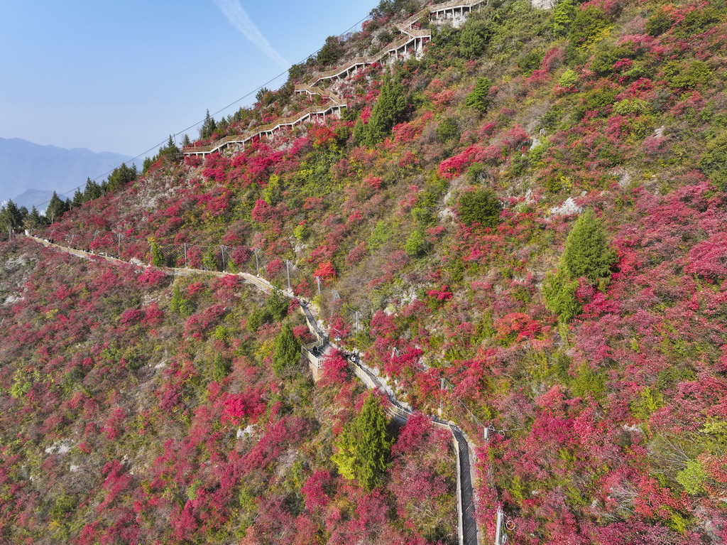 12月18日，游客在重庆巫山文峰景区游览（无人机照片）。