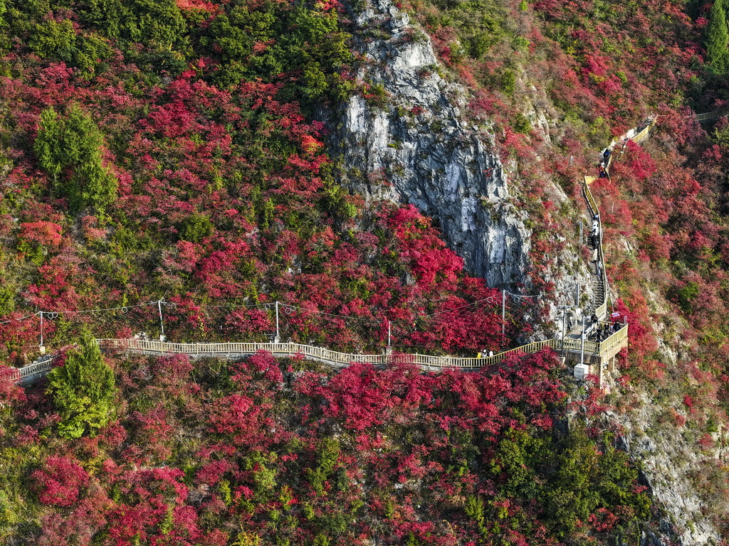 12月18日，游客在重庆巫山文峰景区游览（无人机照片）。