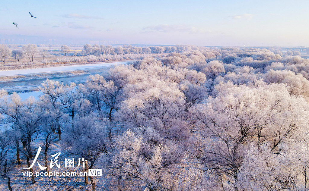 內蒙古呼和浩特：霧凇美景 宛若仙境