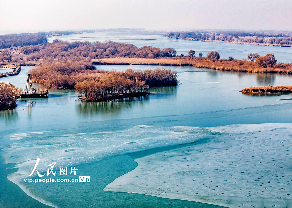 黃河口濕地現(xiàn)冰花景觀