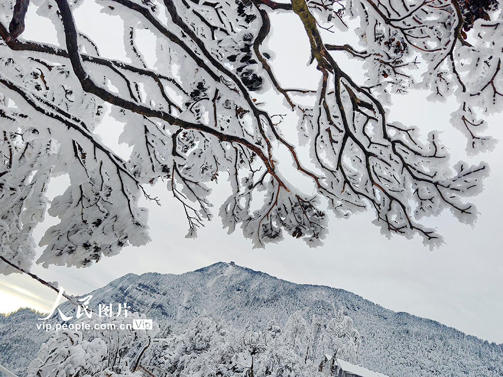 四川樂山：峨眉山冰雪旅游持續升溫【4】