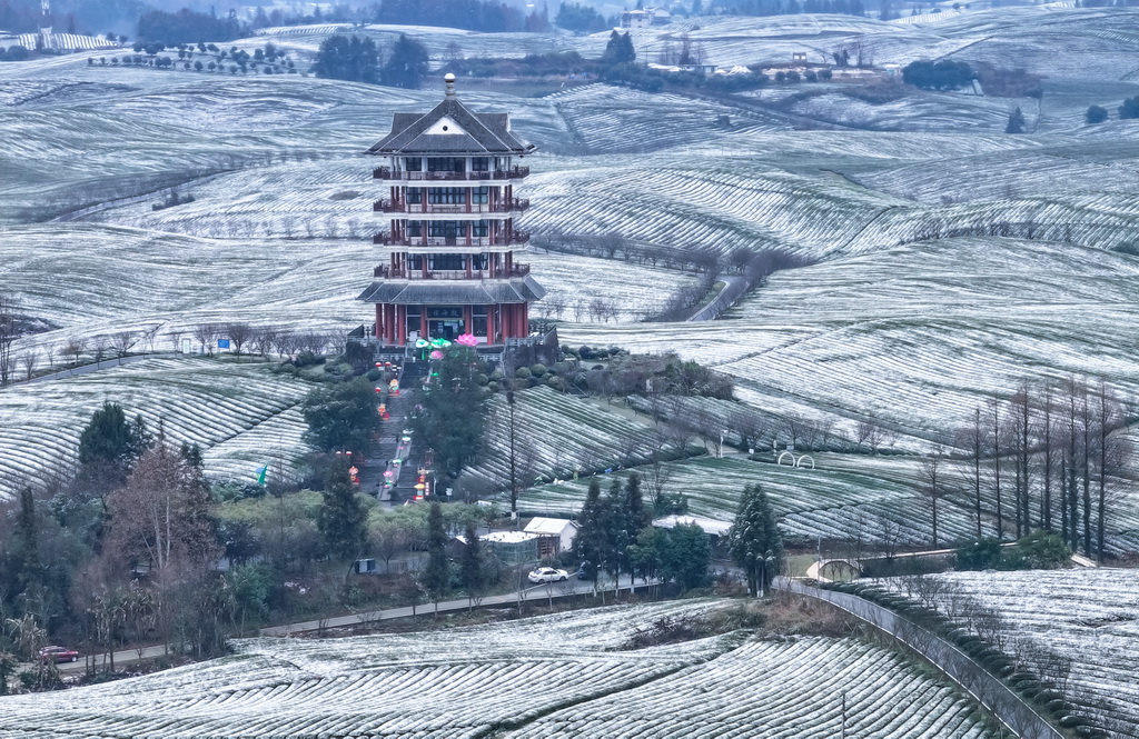 这是雪后的湄潭茶海景区（1月9日摄，无人机照片）。