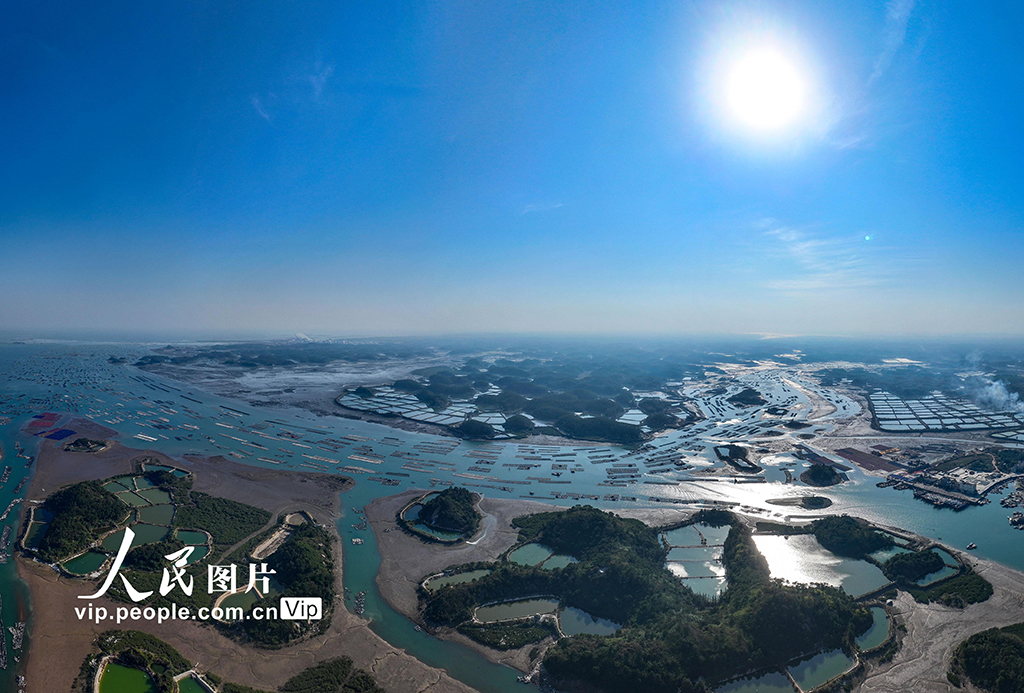 广西钦州：海洋牧场 冬景如画【4】