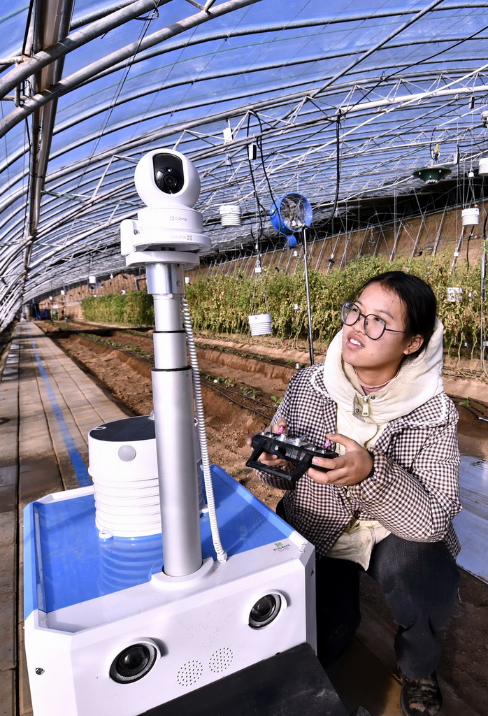 1月14日，技術人員在峰台村一處智能溫室內檢查農業巡檢機器人的工作狀態。