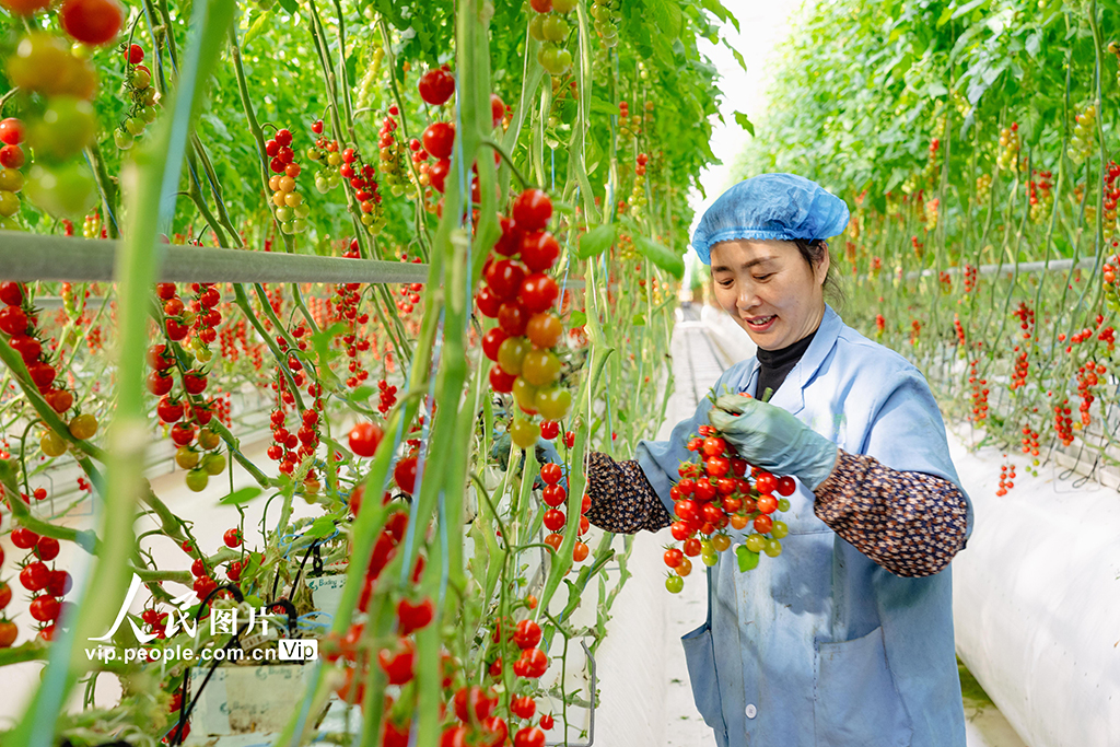 打造生态智慧农业