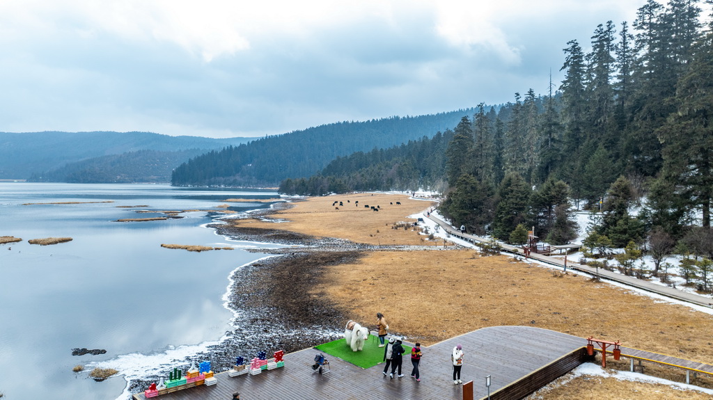 这是云南省迪庆州香格里拉市普达措景区风光（2025年3月6日，无人机照片）。