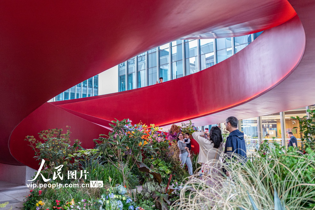 上海国际花展激发“赏花经济”新活力【4】