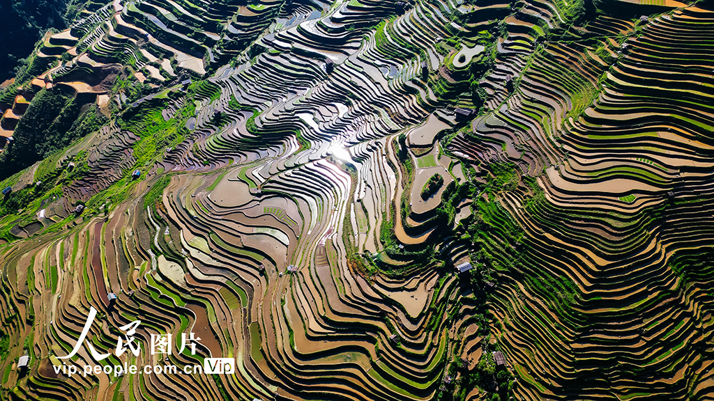 貴州從江:梯田美【4】