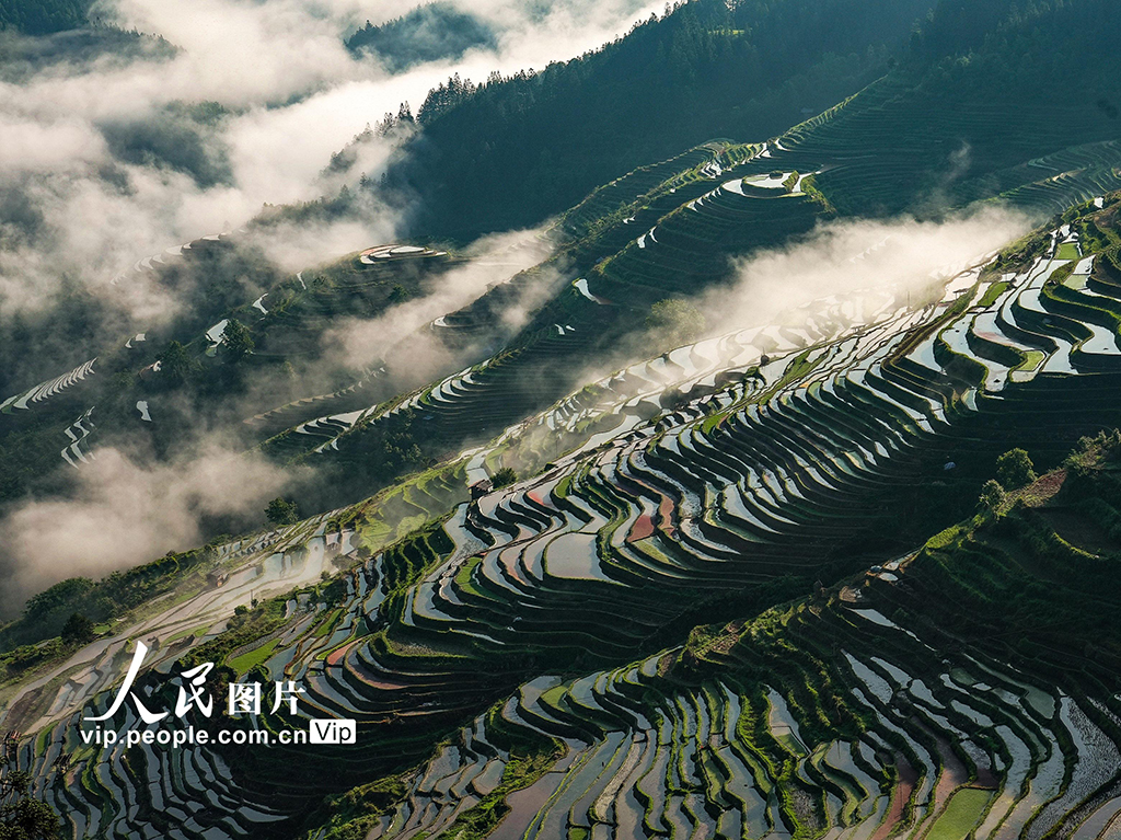 貴州從江:梯田美【5】
