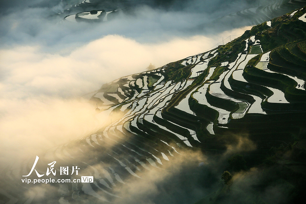 貴州從江:梯田美【2】