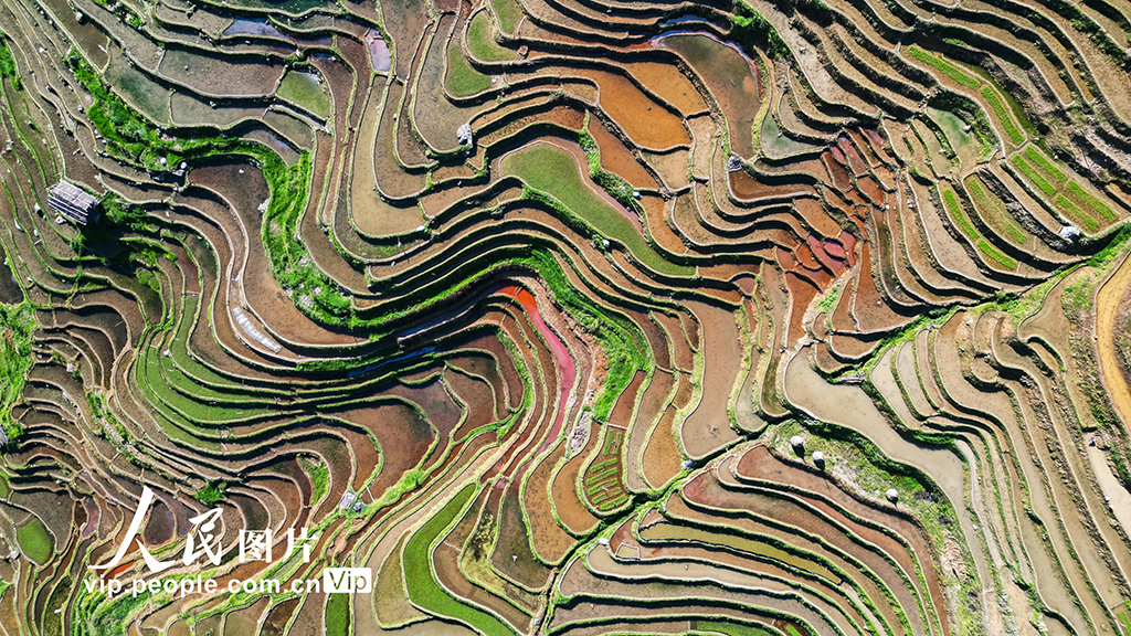 貴州從江:梯田美【3】