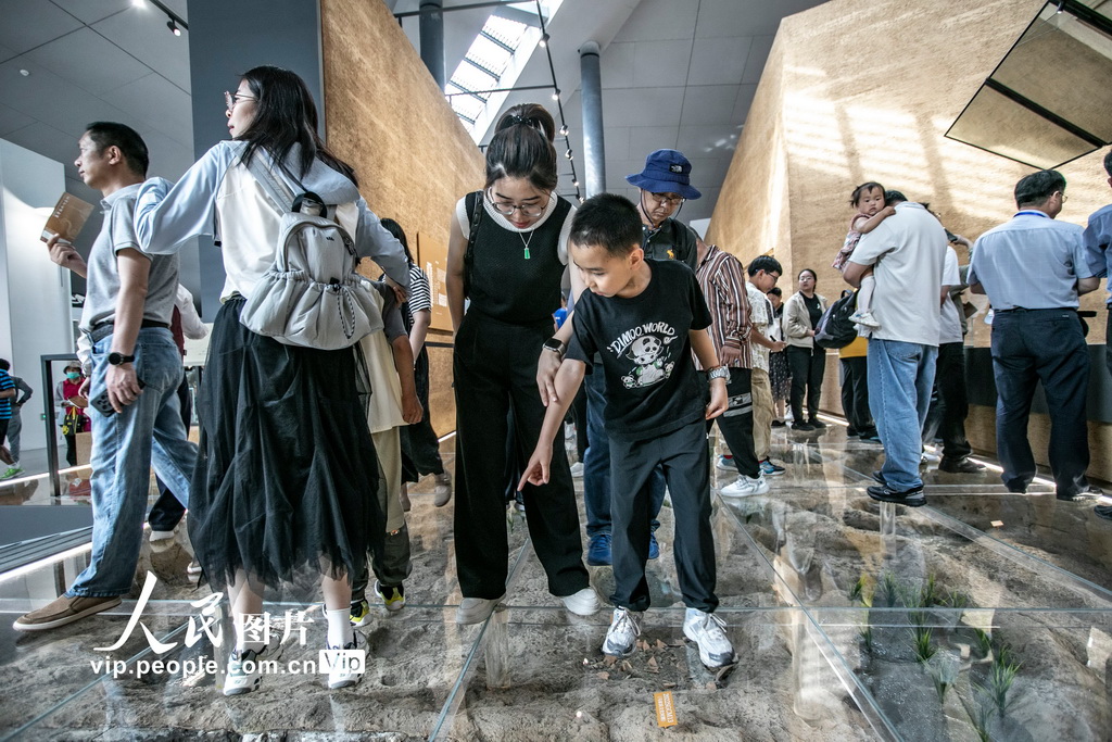 苏州考古博物馆开馆【3】