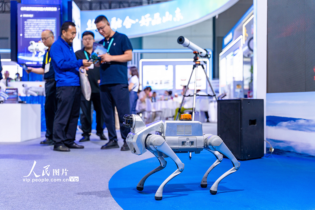 陕西西安：第九届丝绸之路国际博览会开幕【2】